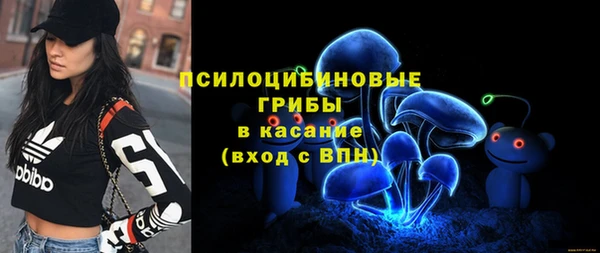 а пвп мука Алзамай