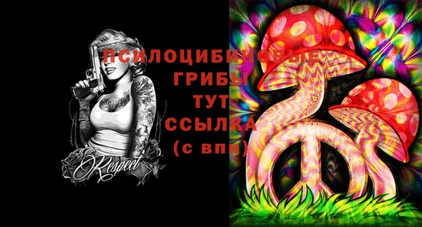 а пвп мука Алзамай
