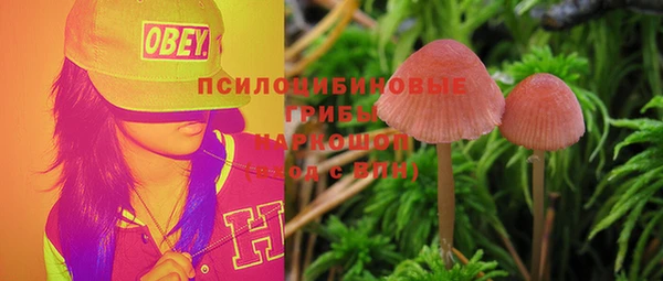 а пвп мука Алзамай
